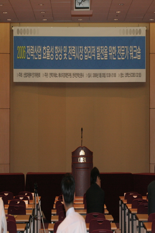 2006 전력산업 효율성 향상 및 전력시장 합리적 발전을 위한 전문가 워크숍